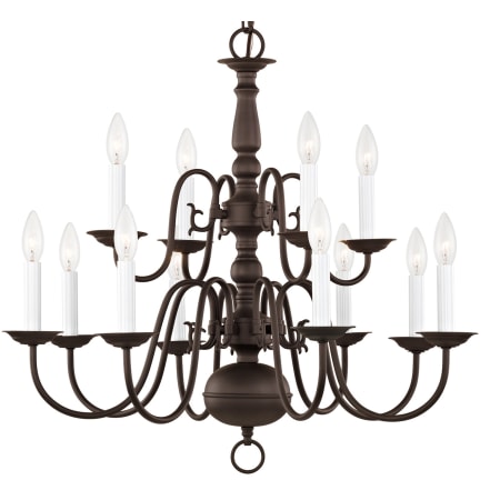 A large image of the Livex Lighting 5012 Bronze