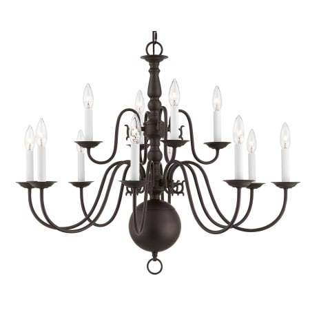 A large image of the Livex Lighting 5014 Bronze