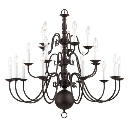 A large image of the Livex Lighting 5019 Bronze