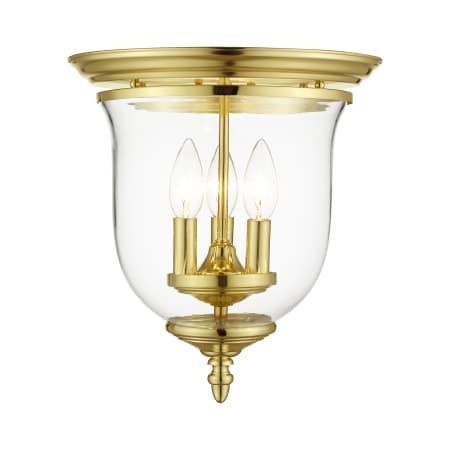 A large image of the Livex Lighting 5021 Polished Brass