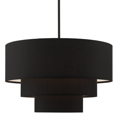 A large image of the Livex Lighting 50274 Black