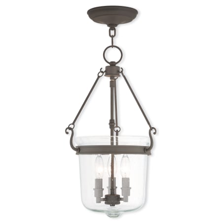 A large image of the Livex Lighting 50494 Bronze