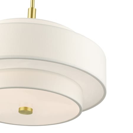 A large image of the Livex Lighting 50874 Alternate View