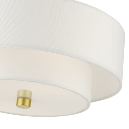 A large image of the Livex Lighting 51042 Alternate View