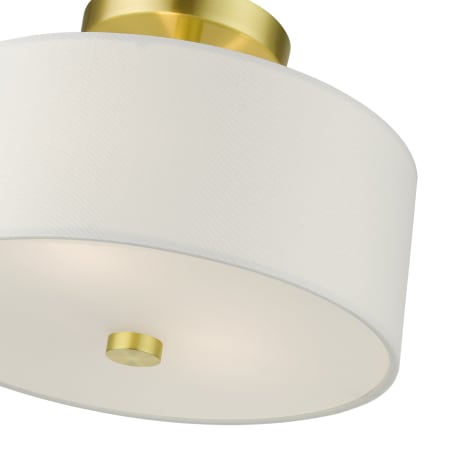 A large image of the Livex Lighting 51052 Alternate View