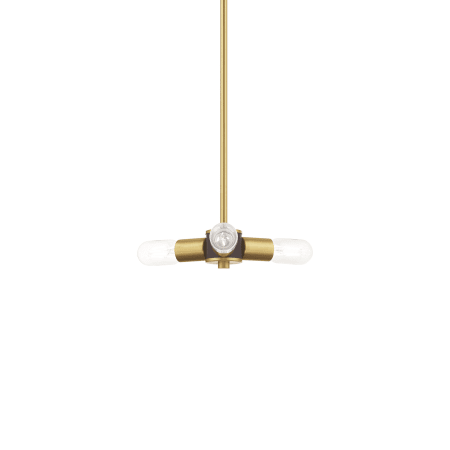 A large image of the Livex Lighting 51133 Satin Brass