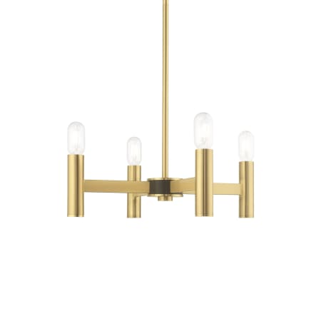 A large image of the Livex Lighting 51134 Satin Brass