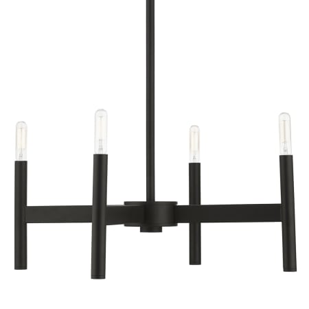 A large image of the Livex Lighting 51174 Black
