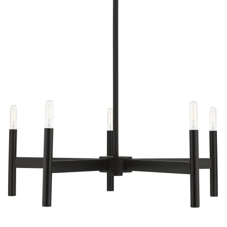 A large image of the Livex Lighting 51175 Black