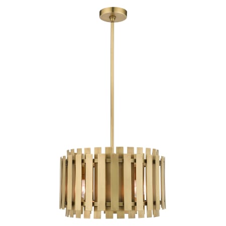 A large image of the Livex Lighting 52048 Alternate Angle (Natural Brass)