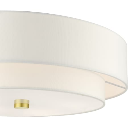 A large image of the Livex Lighting 52140 Alternate View