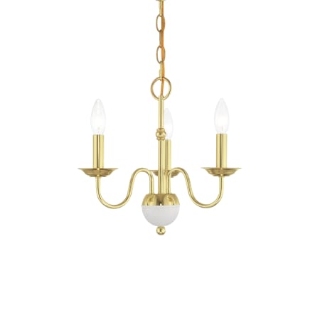 A large image of the Livex Lighting 52163 Polished Brass