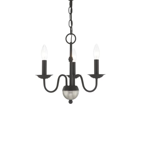 A large image of the Livex Lighting 52163 Black