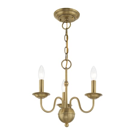 A large image of the Livex Lighting 52163 Alternate Angle (Antique Brass)