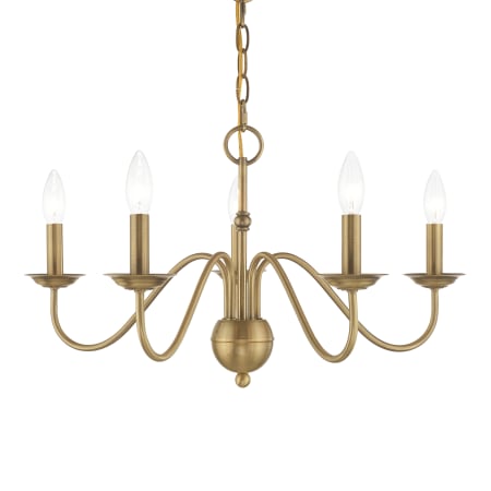 A large image of the Livex Lighting 52165 Antique Brass