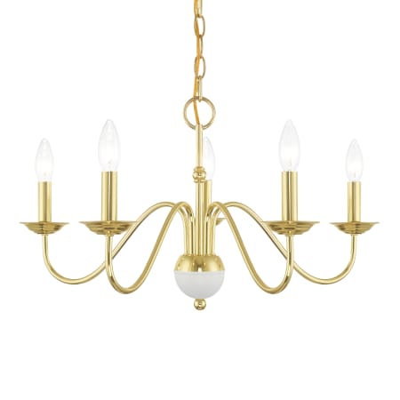A large image of the Livex Lighting 52165 Polished Brass