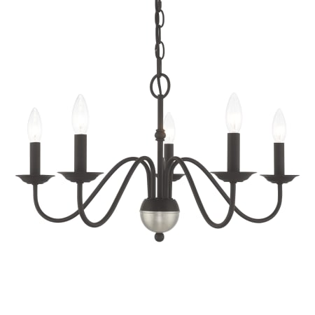 A large image of the Livex Lighting 52165 Black