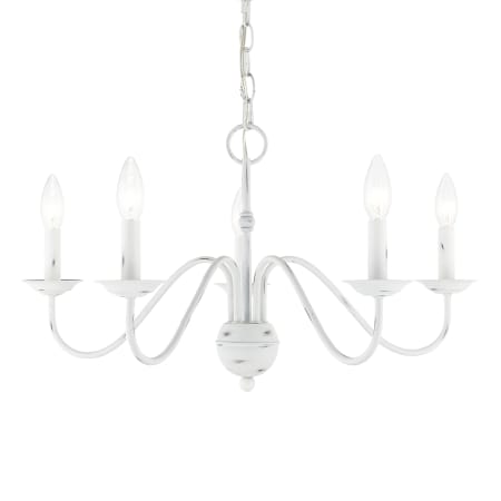 A large image of the Livex Lighting 52165 Antique White