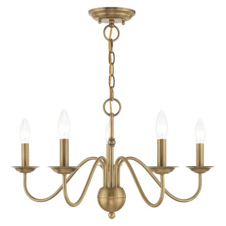 A large image of the Livex Lighting 52165 Alternate Angle (Antique Brass)