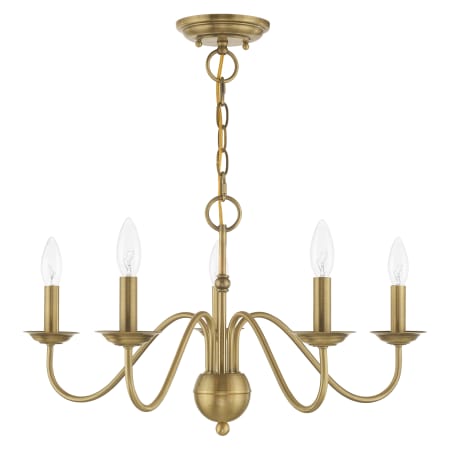 A large image of the Livex Lighting 52165 Alternate Angle (Antique Brass)