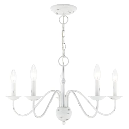 A large image of the Livex Lighting 52165 Alternate Angle (Antique White)