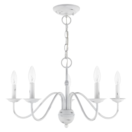 A large image of the Livex Lighting 52165 Alternate Angle (Antique White)
