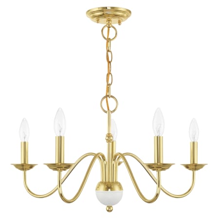 A large image of the Livex Lighting 52165 Alternate Angle (Polished Brass)