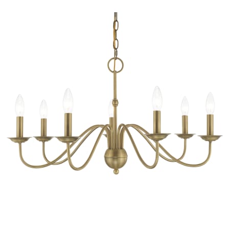 A large image of the Livex Lighting 52167 Antique Brass
