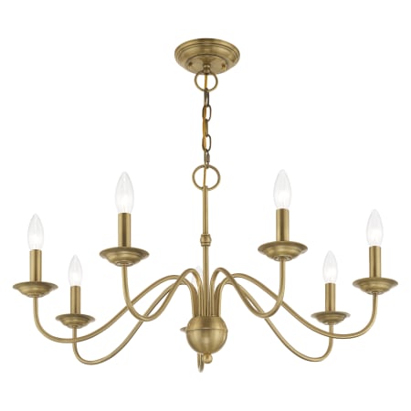 A large image of the Livex Lighting 52167 Alternate Angle (Antique Brass)