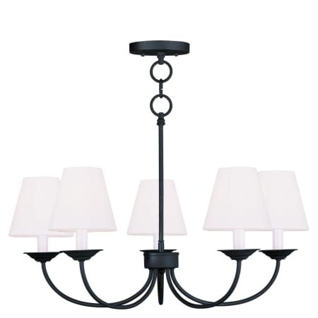 A large image of the Livex Lighting 5275 Black