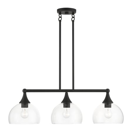 A large image of the Livex Lighting 53643 Black