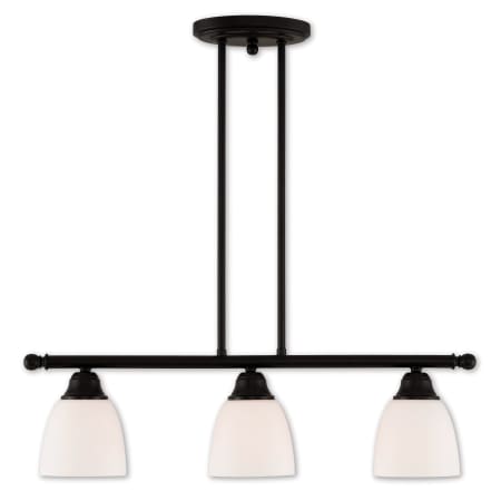 A large image of the Livex Lighting 53854 Bronze