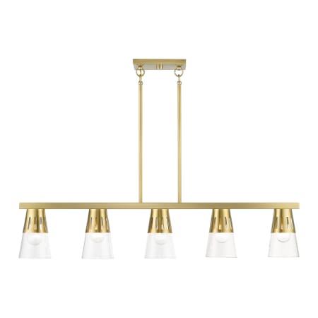 A large image of the Livex Lighting 56455 Natural Brass