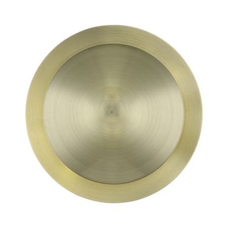 A large image of the Livex Lighting 56571 Antique Brass