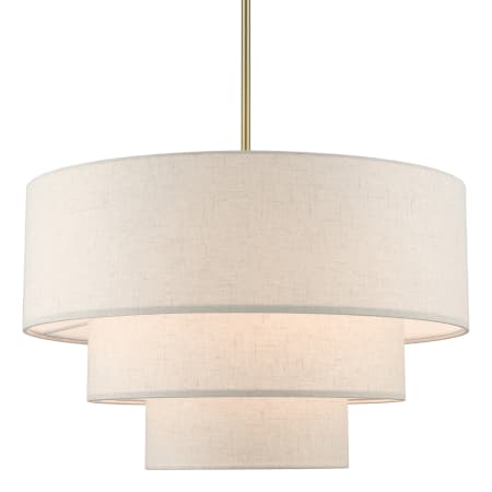 A large image of the Livex Lighting 57484 Antique Brass