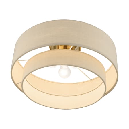 A large image of the Livex Lighting 58898 Alternate Image