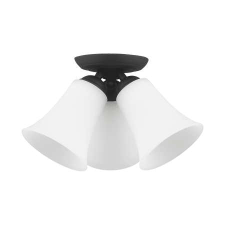 A large image of the Livex Lighting 6462 Alternate View