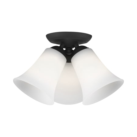 A large image of the Livex Lighting 6462 Alternate View
