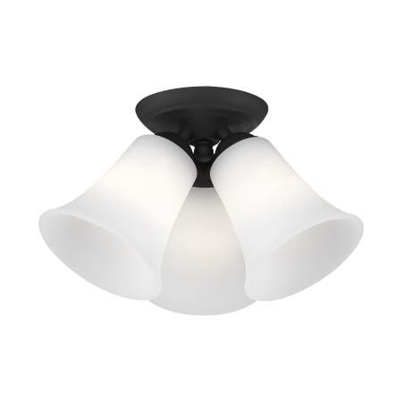 A large image of the Livex Lighting 6462 Alternate View