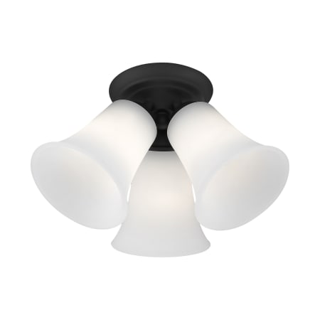 A large image of the Livex Lighting 6462 Alternate View