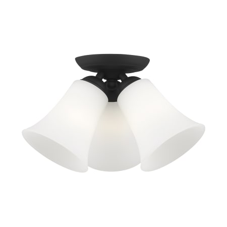A large image of the Livex Lighting 6462 Alternate View