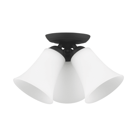 A large image of the Livex Lighting 6462 Alternate View