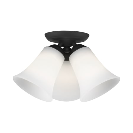 A large image of the Livex Lighting 6462 Alternate View