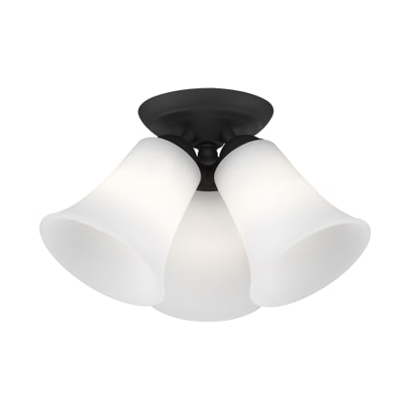A large image of the Livex Lighting 6462 Alternate View