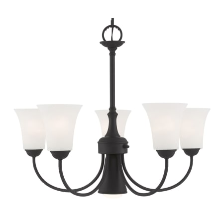 A large image of the Livex Lighting 6465 Black