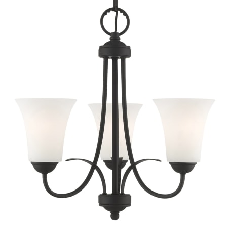 A large image of the Livex Lighting 6473 Black