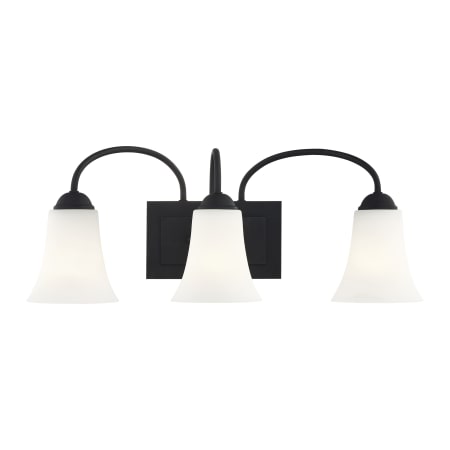 A large image of the Livex Lighting 6483 Black