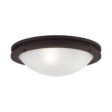 A large image of the Livex Lighting 7059 Bronze