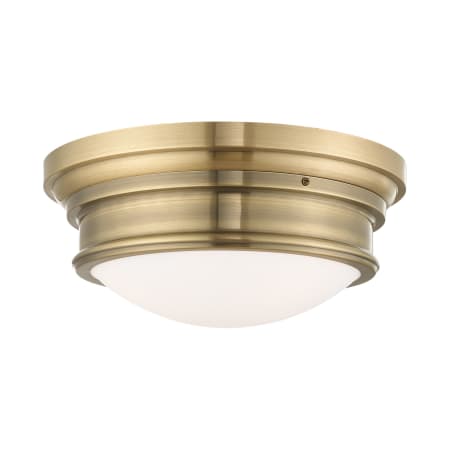 A large image of the Livex Lighting 7343 Antique Brass