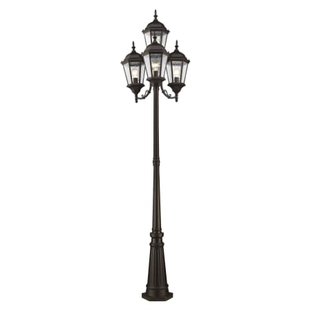A large image of the Livex Lighting 7557 Bronze